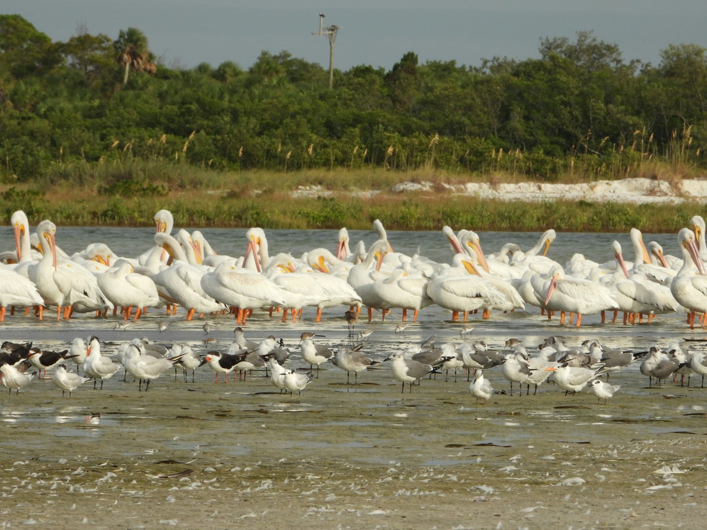 ort De Soto Park - Photo Credit: Photo by Anita Denunzio on Unsplash