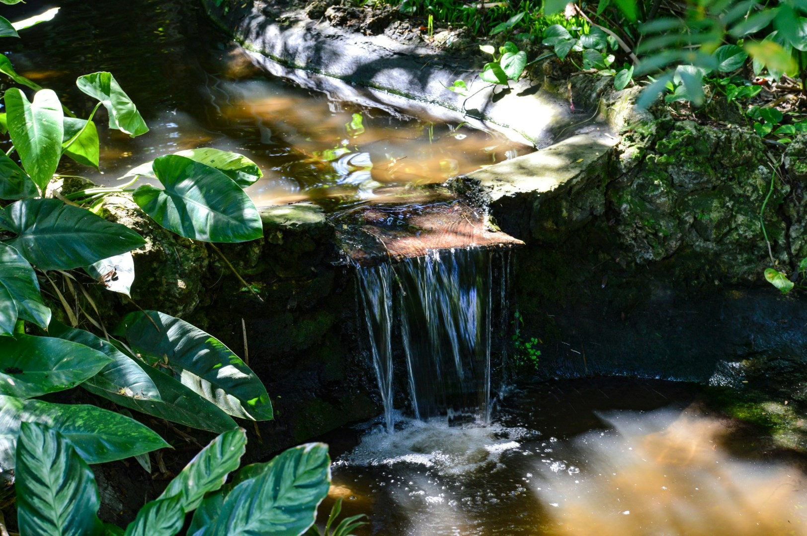 Sunken Gardens - Photo Credit: Photo by Annie Tray-Gavin on Unsplash