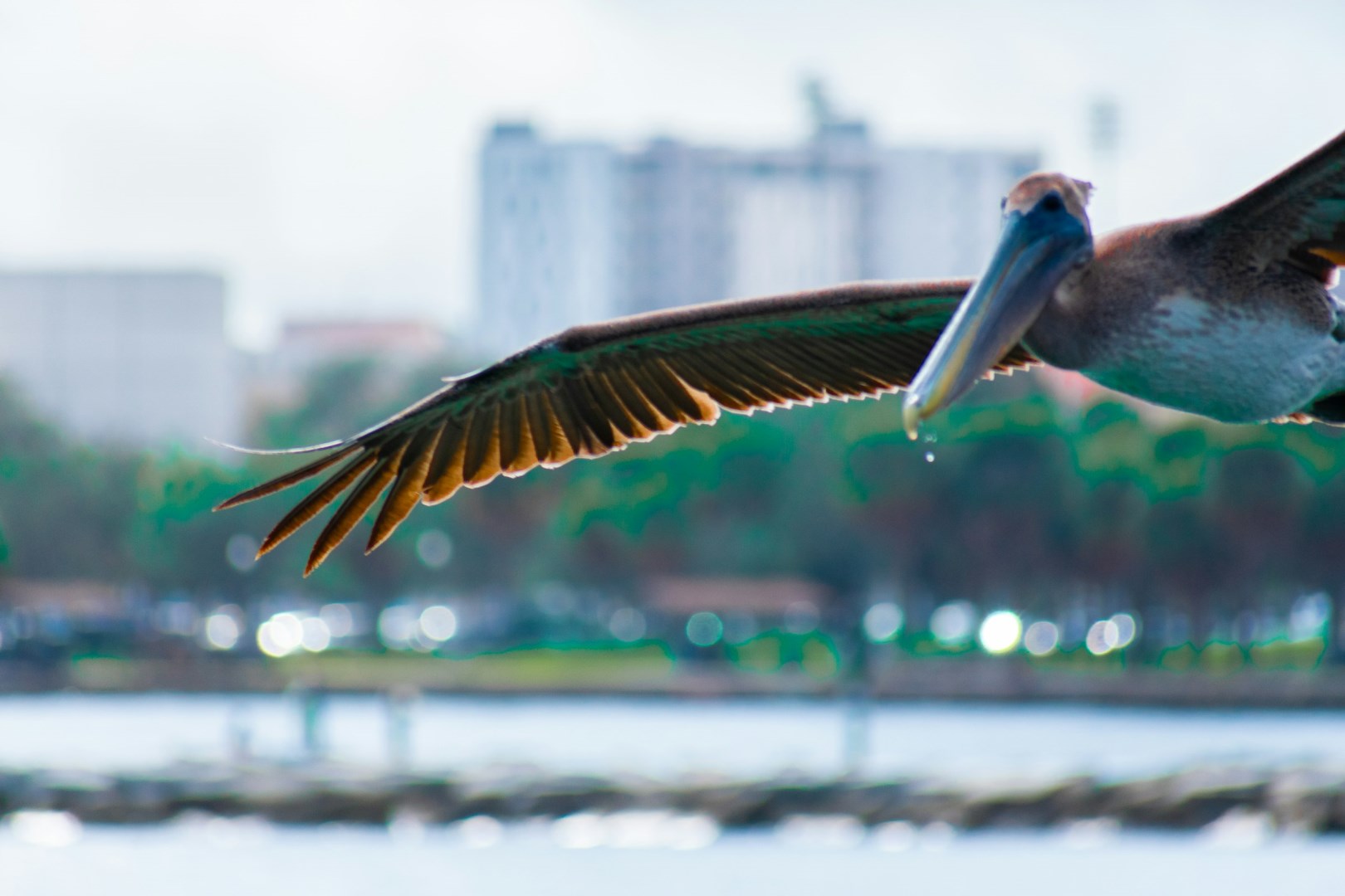  Photo Credit: Photo by Robin Teng on Unsplash