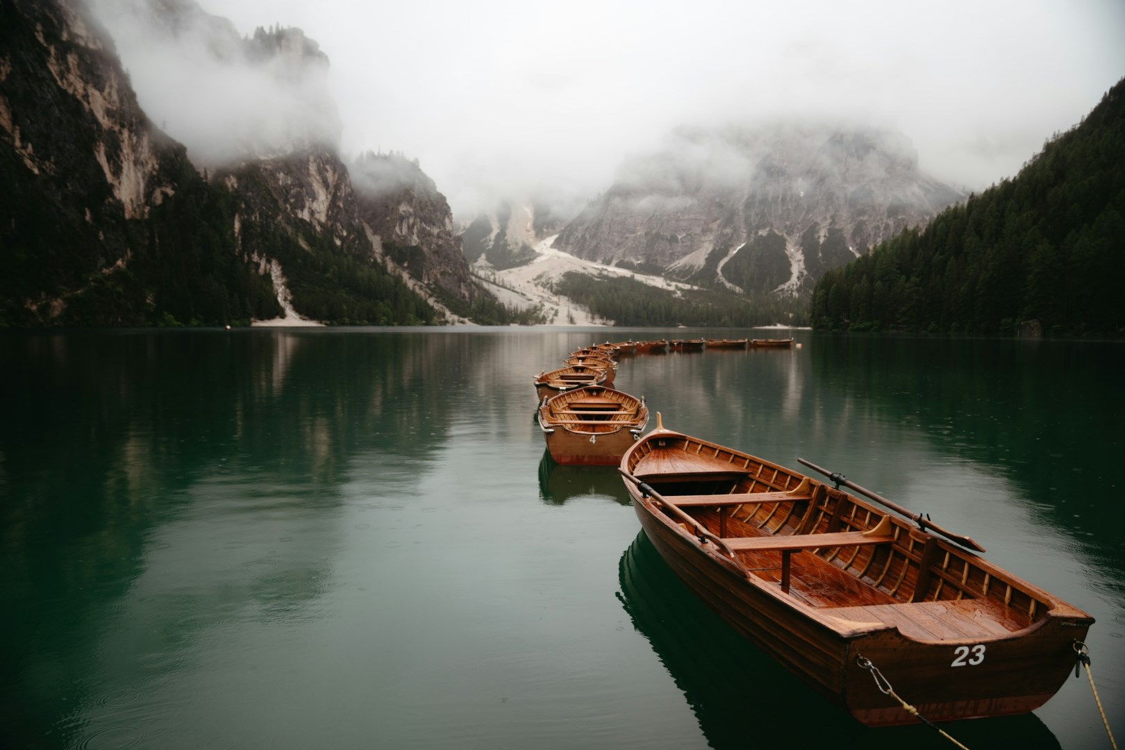 Photo Credit: Photo by Micah & Sammie Chaffin on Unsplash