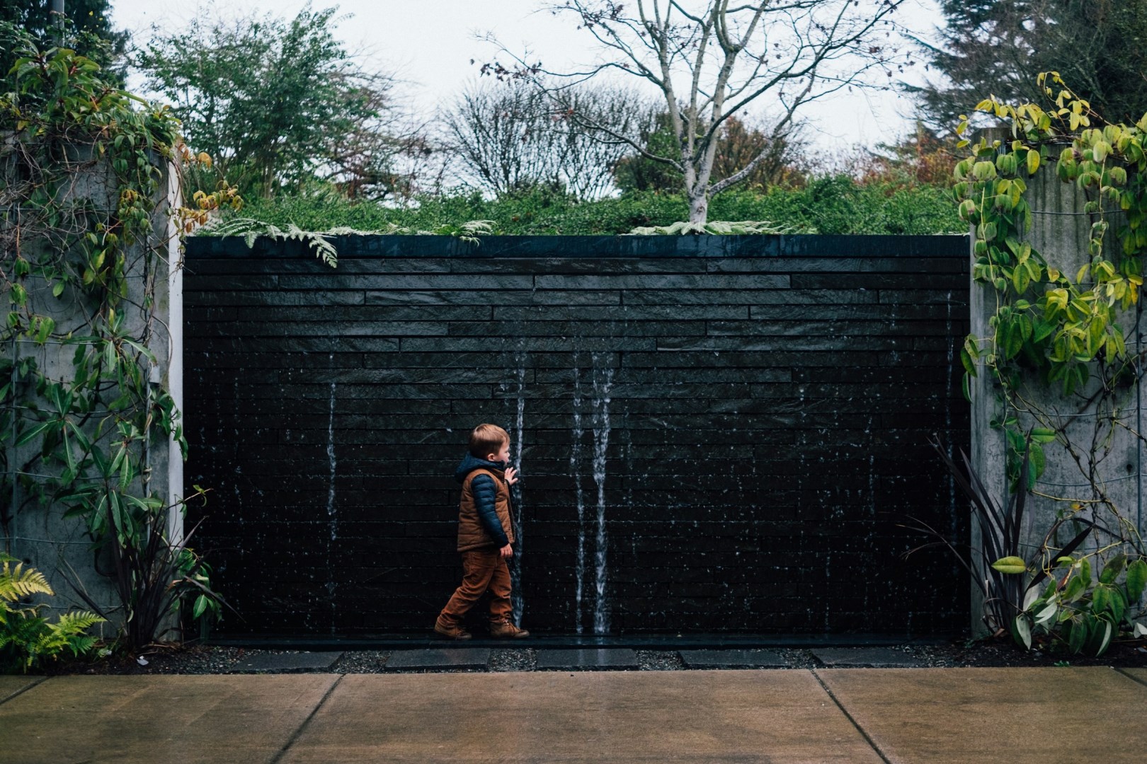 Bellevue Botanical Garden - Photo Credit: Photo by Paul Hanaoka on Unsplash
