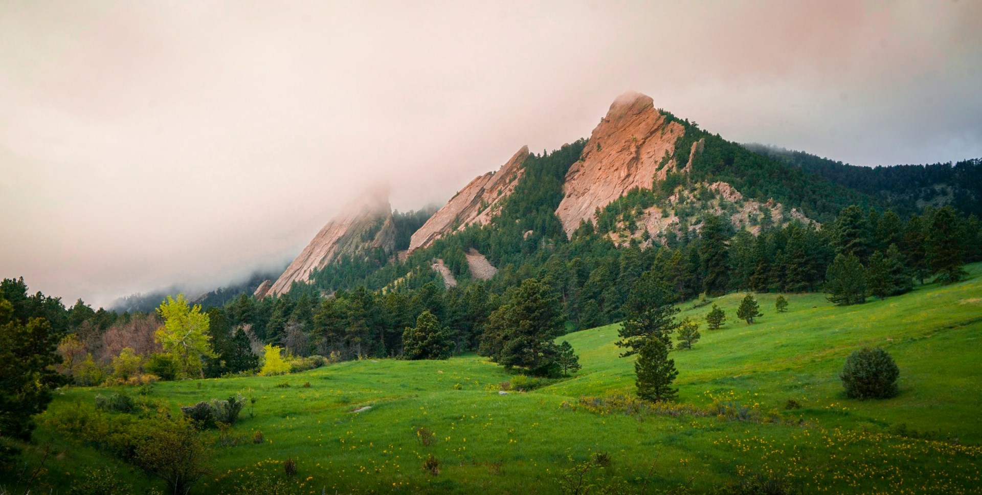  Photo Credit: Photo by Intricate Explorer on Unsplash