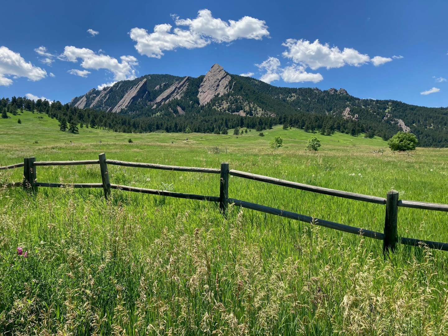  Photo Credit: Photo by Kenneth MacClune on Unsplash