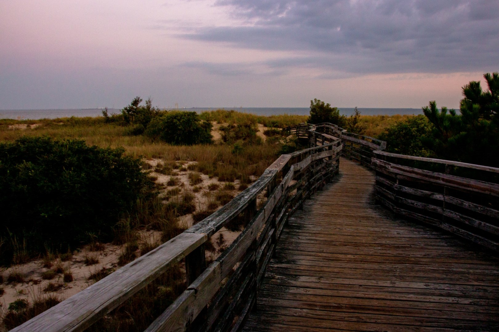 First Landing State Park - Photo Credit: Photo by Salomé Guruli on Unsplash