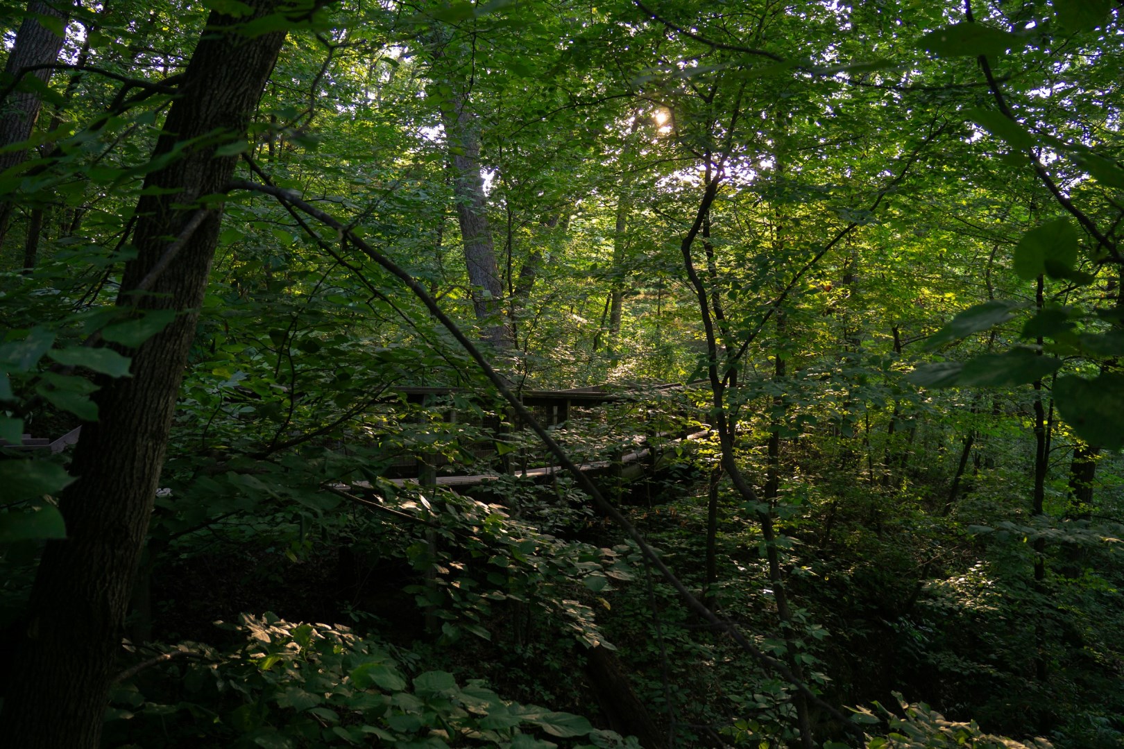 Starved Rock State Park - Photo Credit: Photo by Brandon Karaca on Unsplash