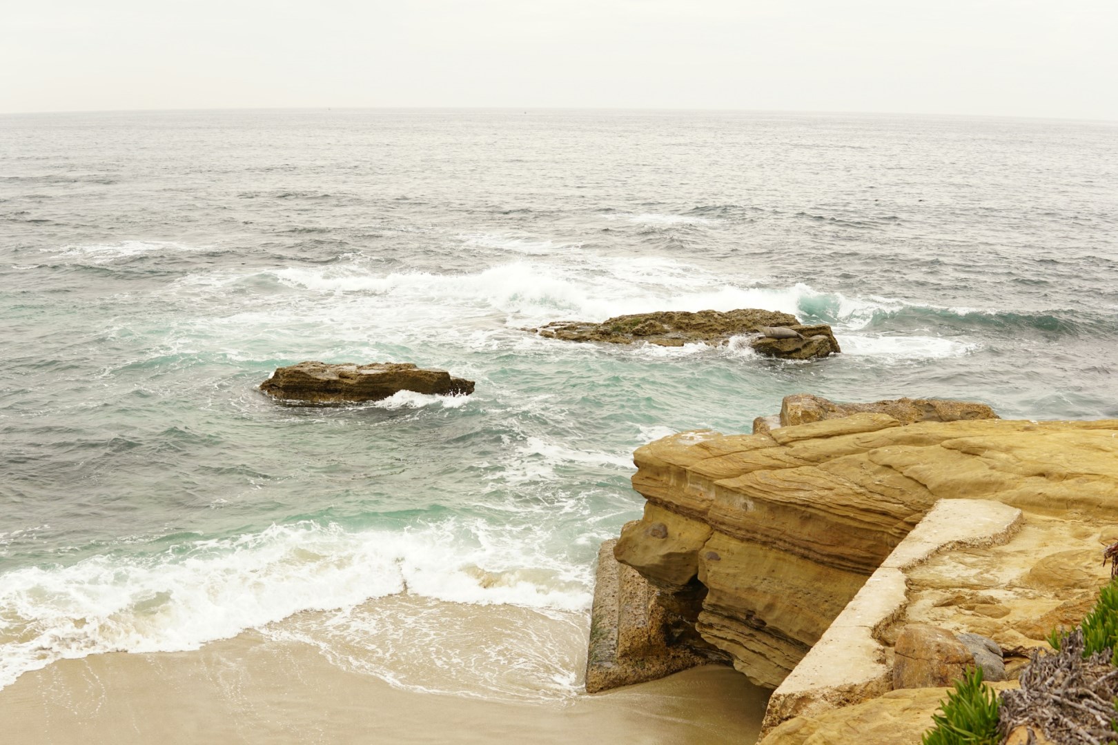  Photo Credit: Photo by Sunyong Park on Unsplash