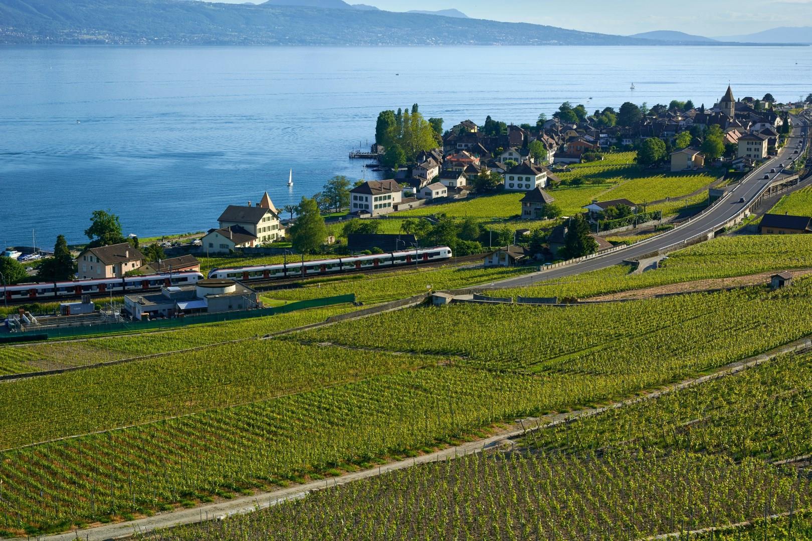 Lausanne