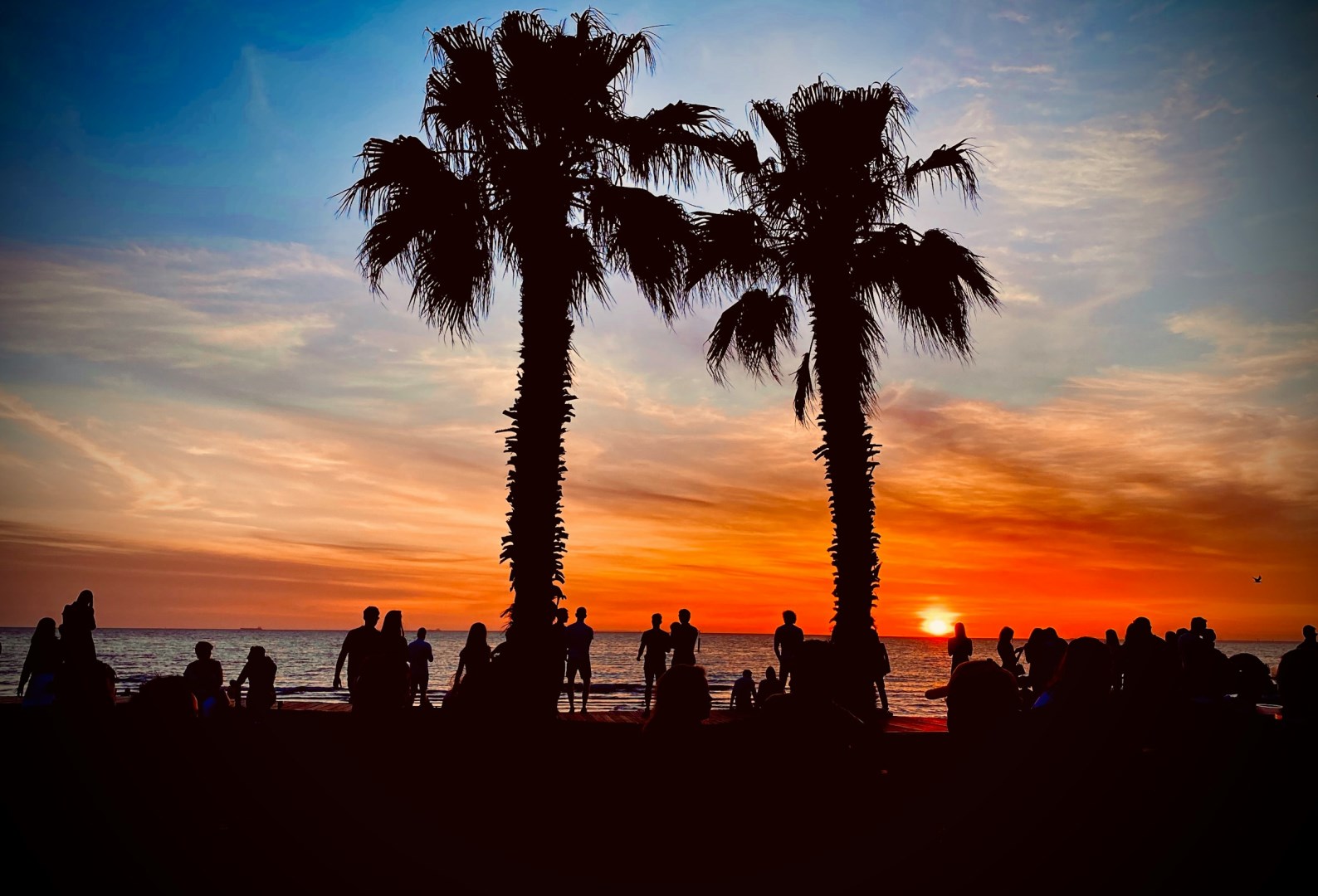  Photo Credit: Photo by Joy Saha on Unsplash