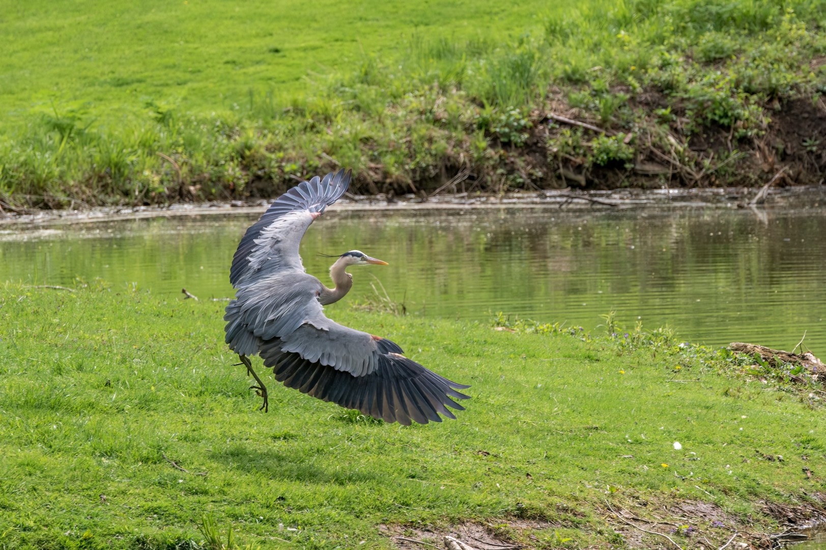 Side Cut Metropark - Photo Credit: Photo by Cathy Holewinski on Unsplash