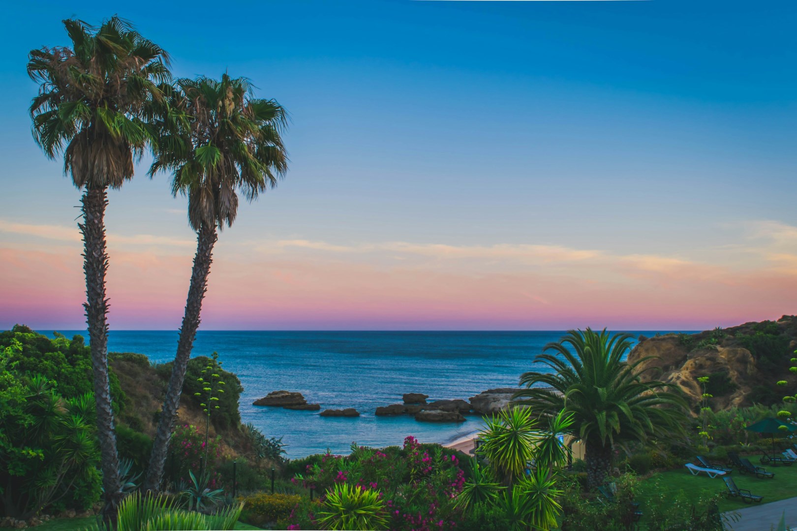  Photo Credit: Photo by Nick Kane on Unsplash