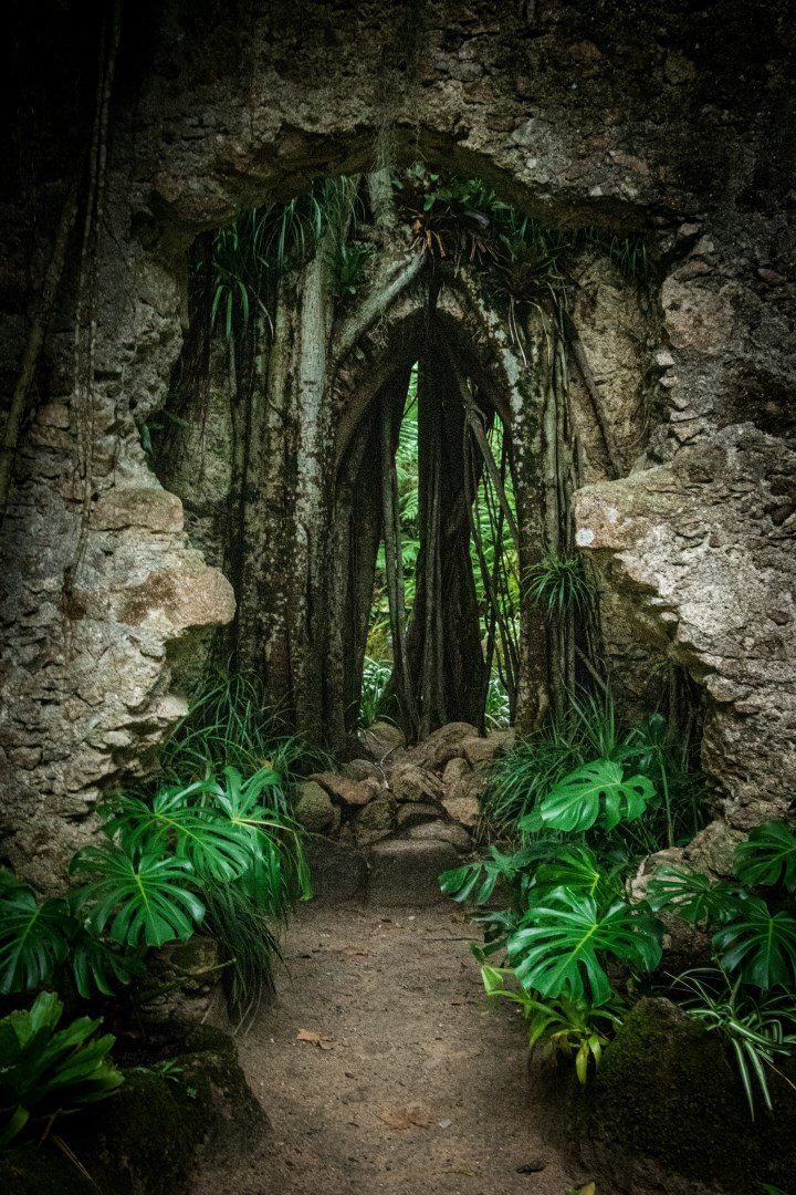  Photo Credit: Photo by Yann Jacobsen on Unsplash