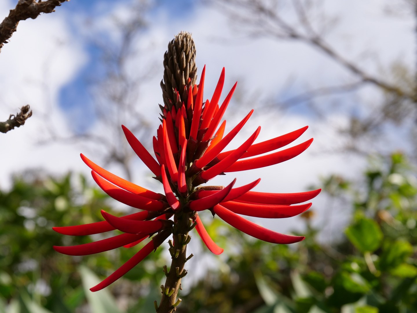  Photo Credit: Image by Franz Dschulnigg from Pixabay