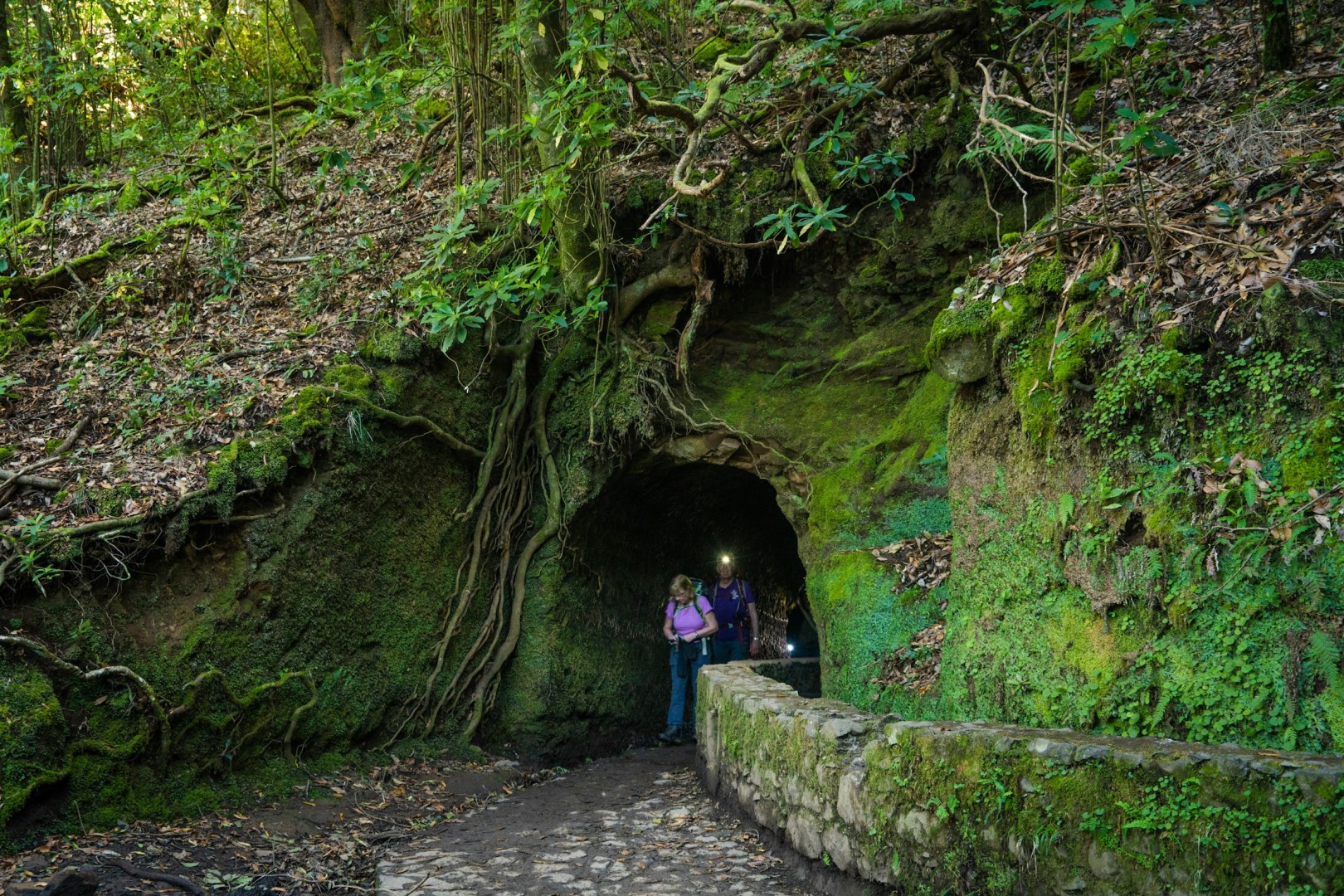 Levada do Caldeirão Verde - Photo Credit: Photo by Hikerwise.com on Unsplash