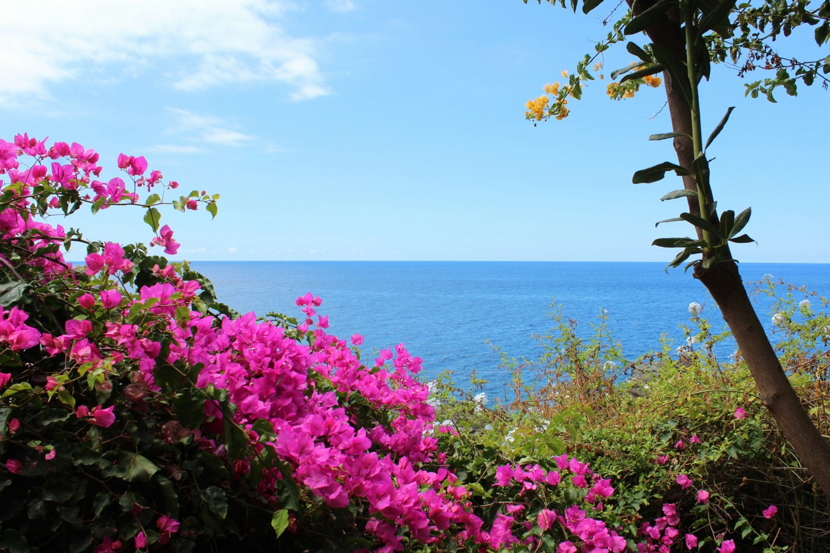  Photo Credit: Photo by Daniela Turcanu on Unsplash