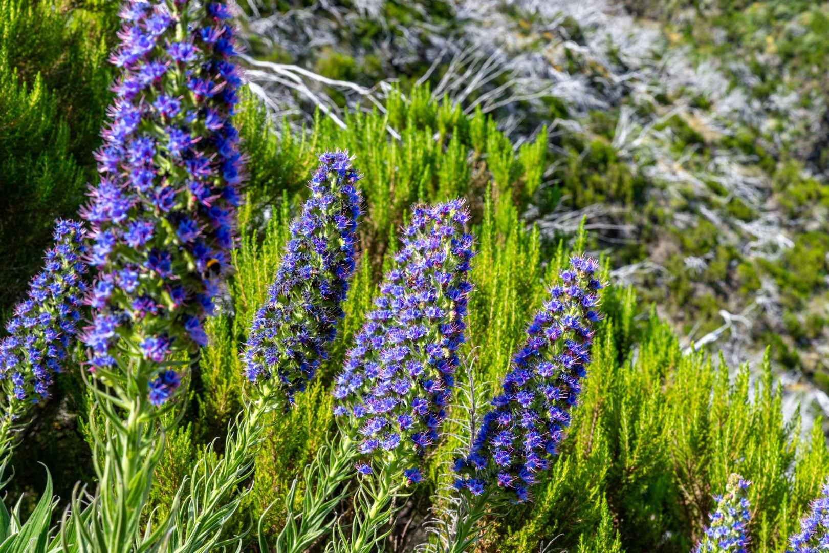  Photo Credit: Photo by Thomas Winkler on Unsplash