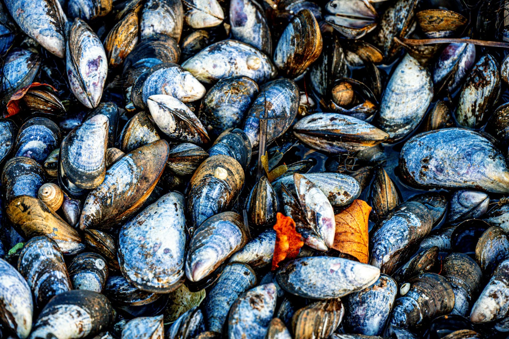  Photo Credit: Photo by Julia Taubitz on Unsplash