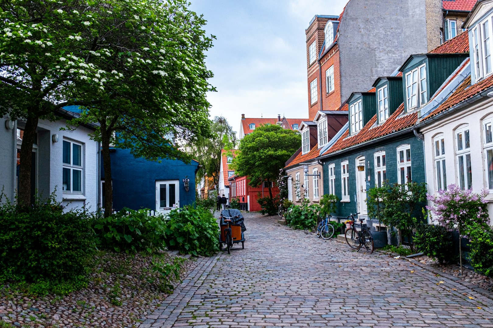  Photo Credit: Photo by Steffen Muldbjerg on Unsplash
