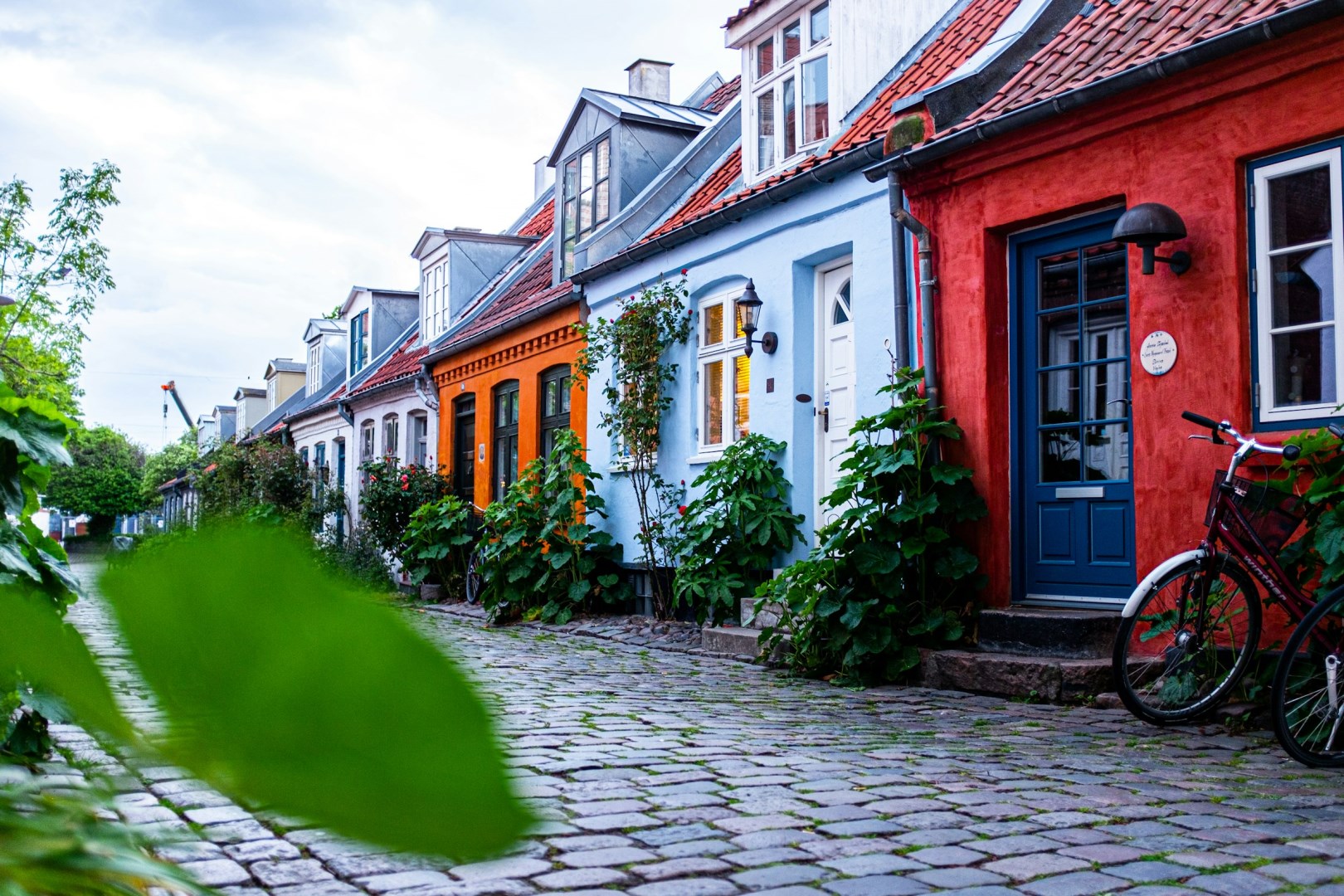  Photo Credit: Photo by Steffen Muldbjerg on Unsplash