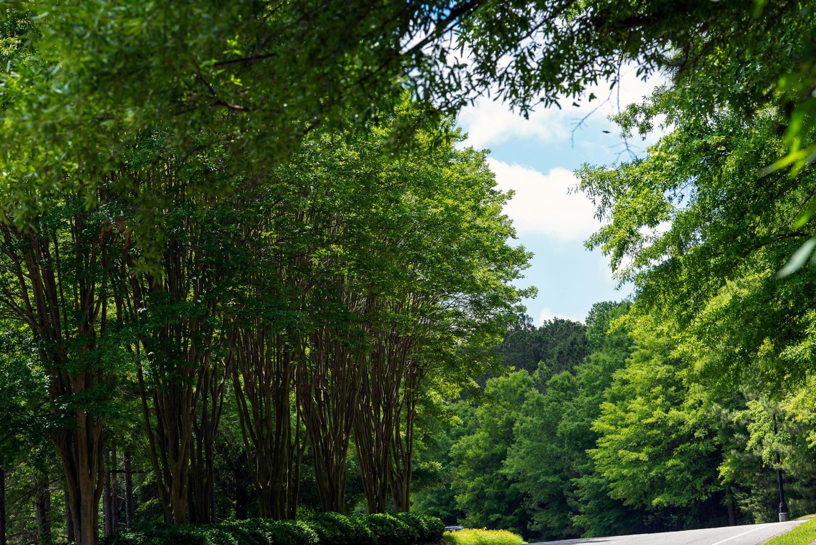 Alpharetta