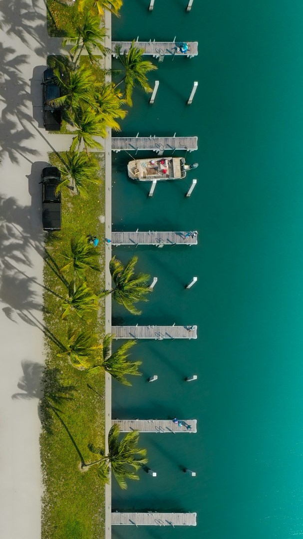  Photo Credit: Photo by Valeriia Neganova on Unsplash