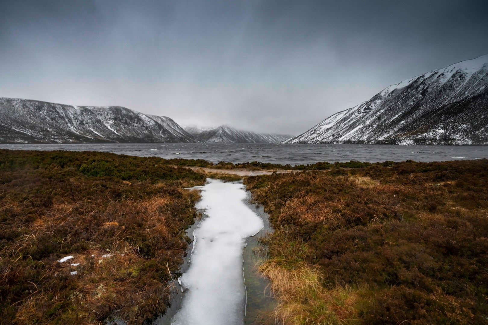  Photo Credit: Photo by martin bennie on Unsplash