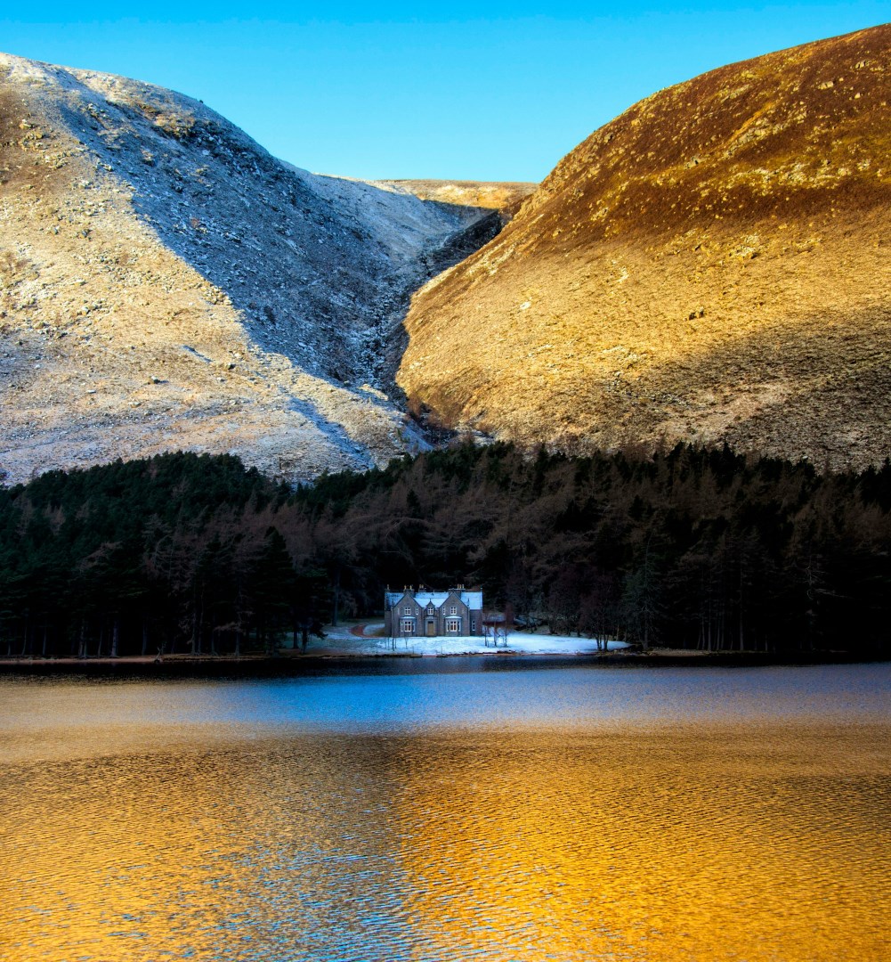  Photo Credit: Photo by martin bennie on Unsplash