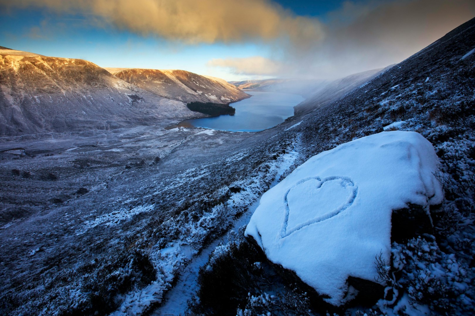  Photo Credit: Photo by martin bennie on Unsplash