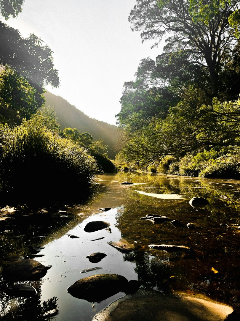  Photo Credit: Photo by Sam Mkhize on Unsplash