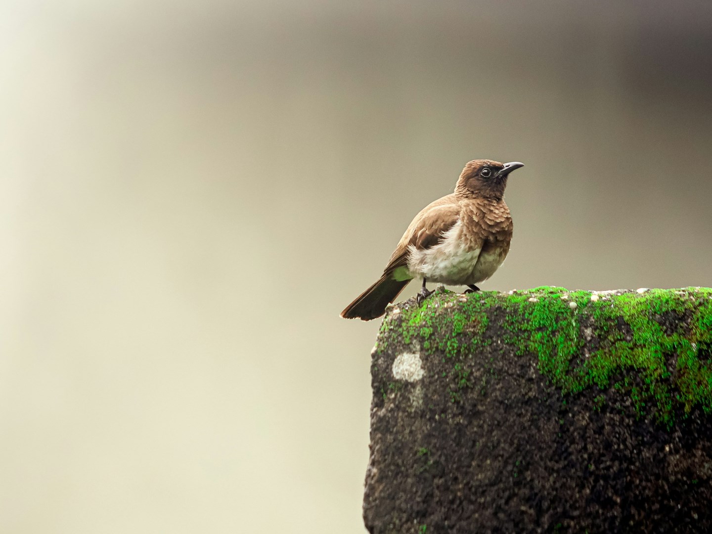  Photo Credit: Photo by JEaLiFe Pictures on Unsplash