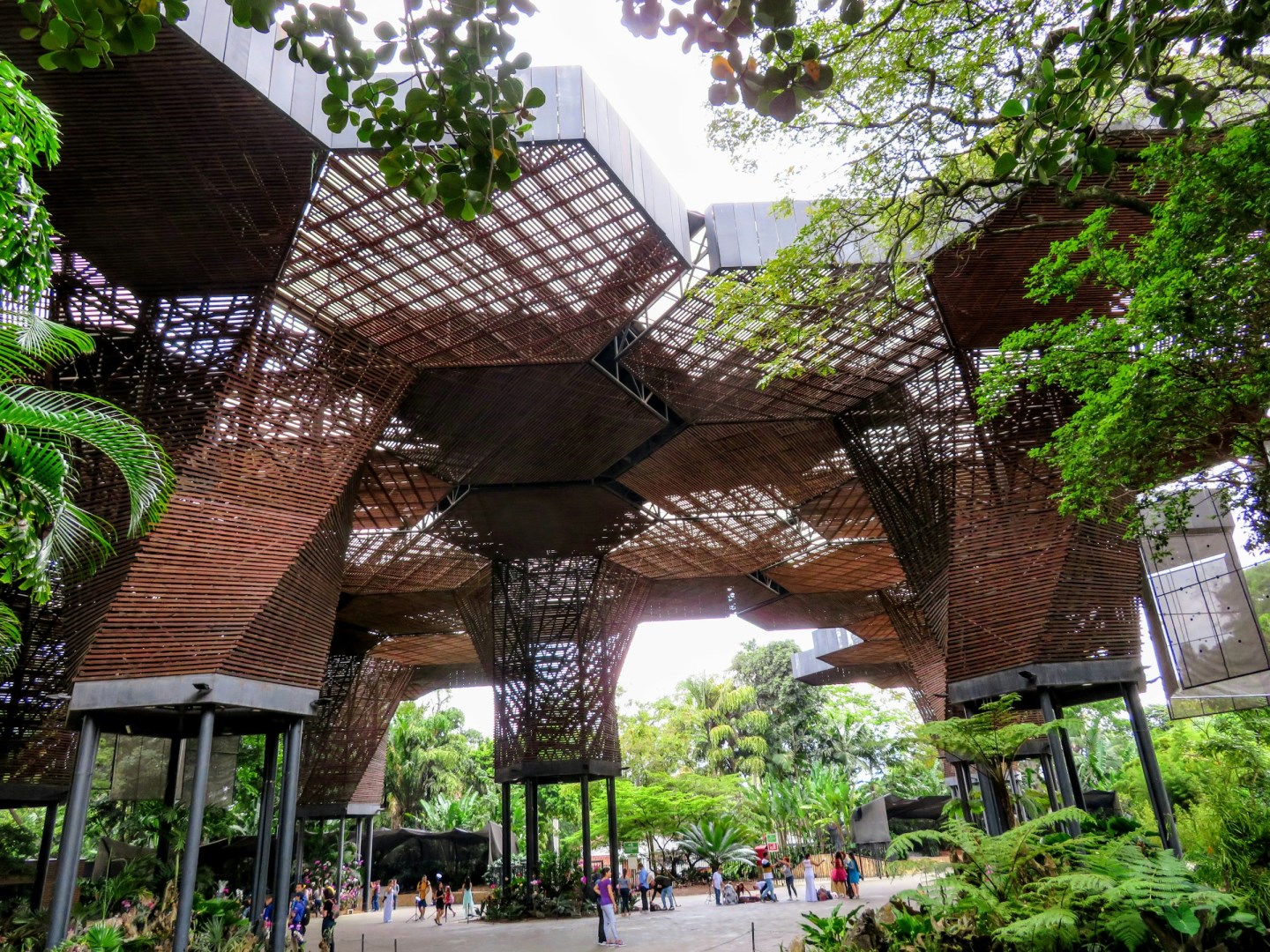 Orquideorama Jardín Botánico - Photo Credit: Photo by Oneil Williams on Unsplash