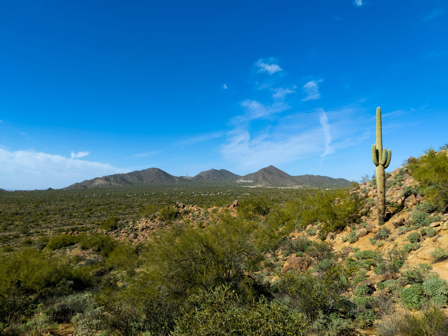  Photo Credit: Photo by Taylor Finklea on Unsplash