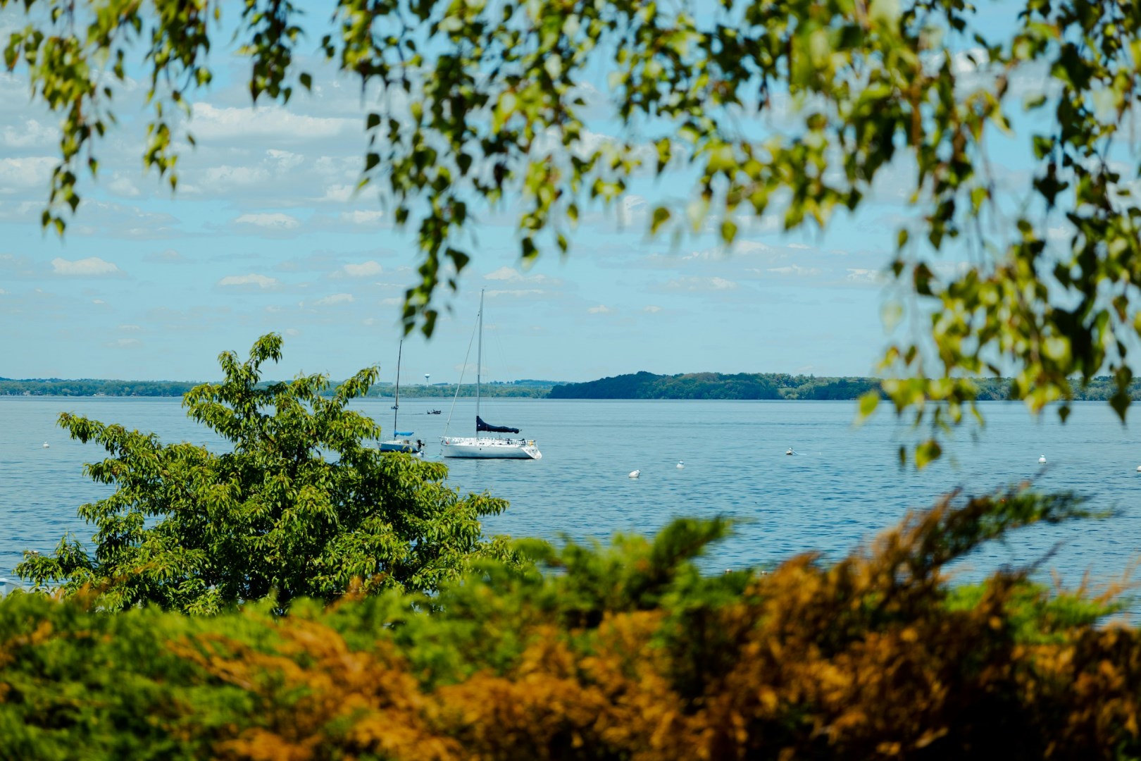  Photo Credit: Photo by Vincent Y @USA on Unsplash