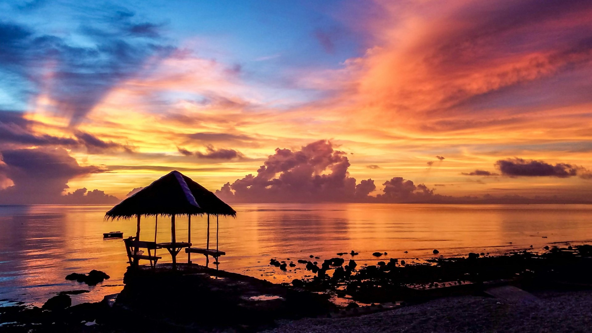  Photo Credit: Photo by Mike L on Unsplash