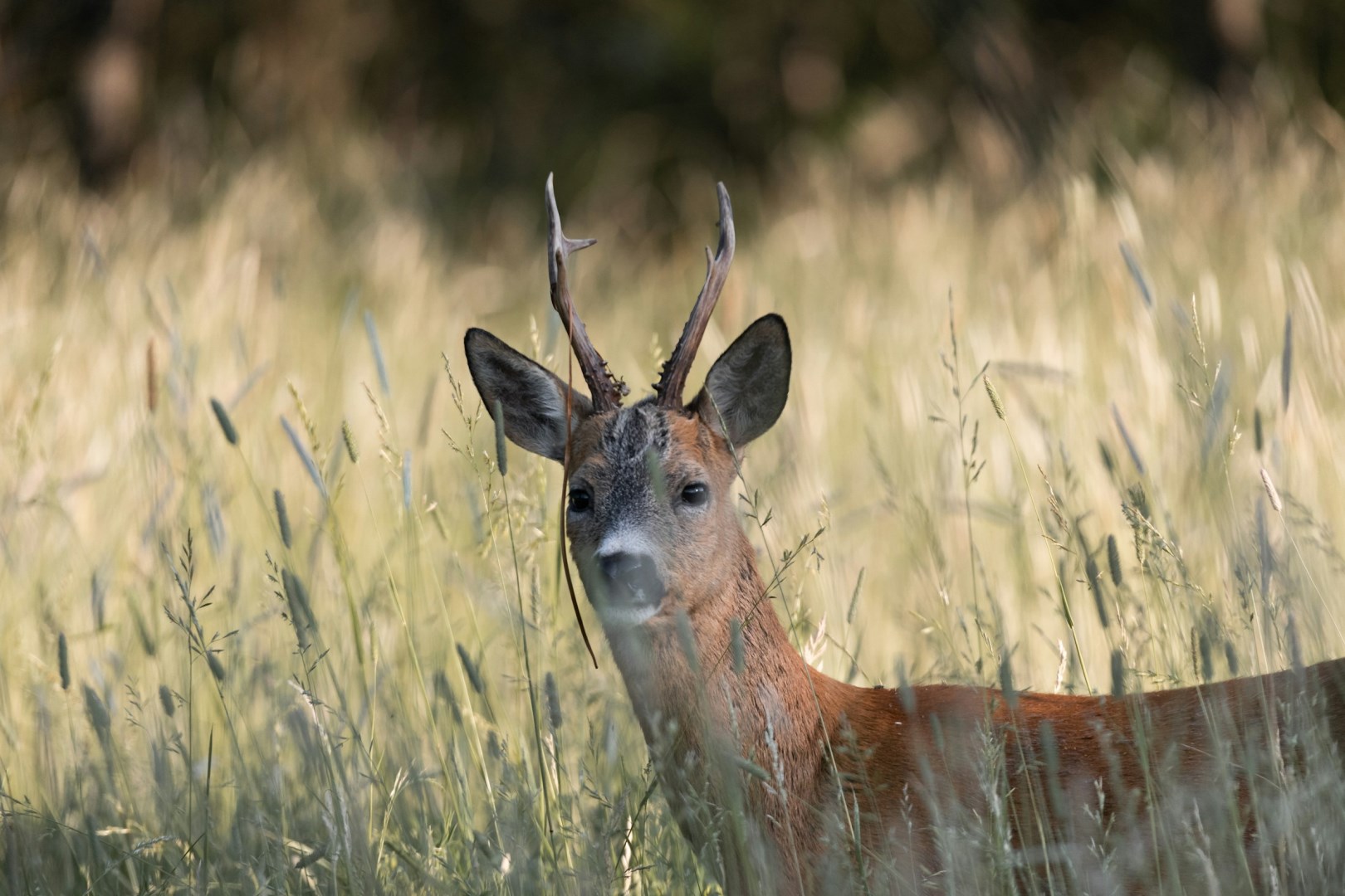  Photo Credit: Photo by Jamo Images on Unsplash