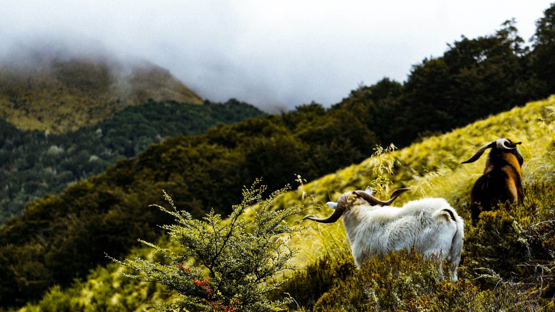  Photo Credit: Photo by Andres Iga on Unsplash