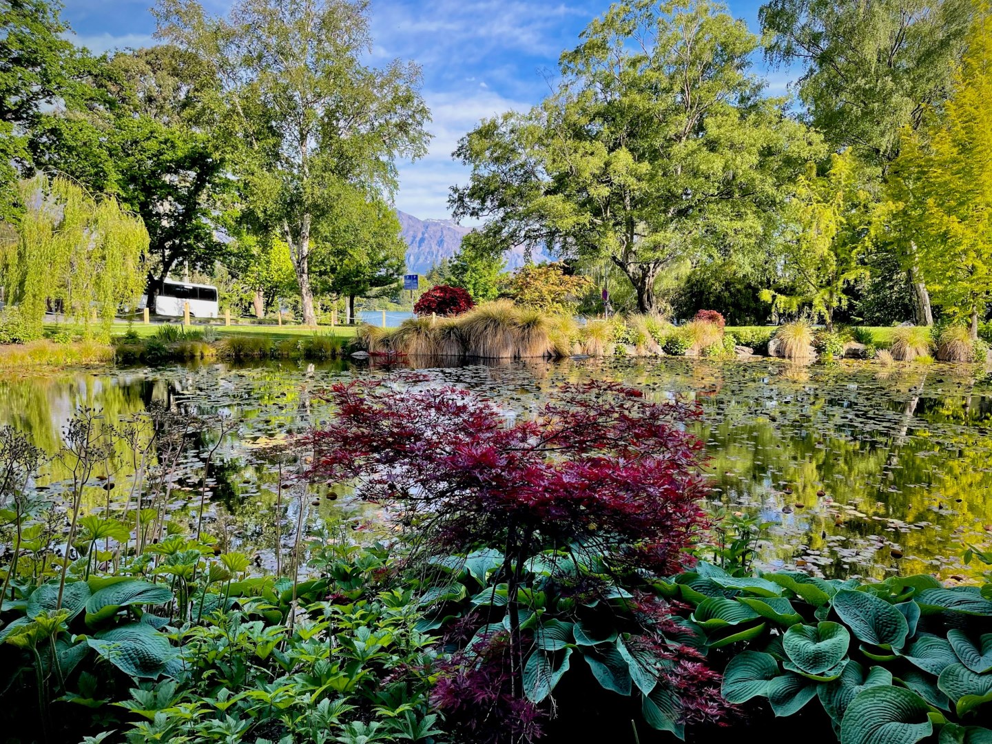 Queenstown botanical gardens - Photo Credit: Photo by Michael on Unsplash