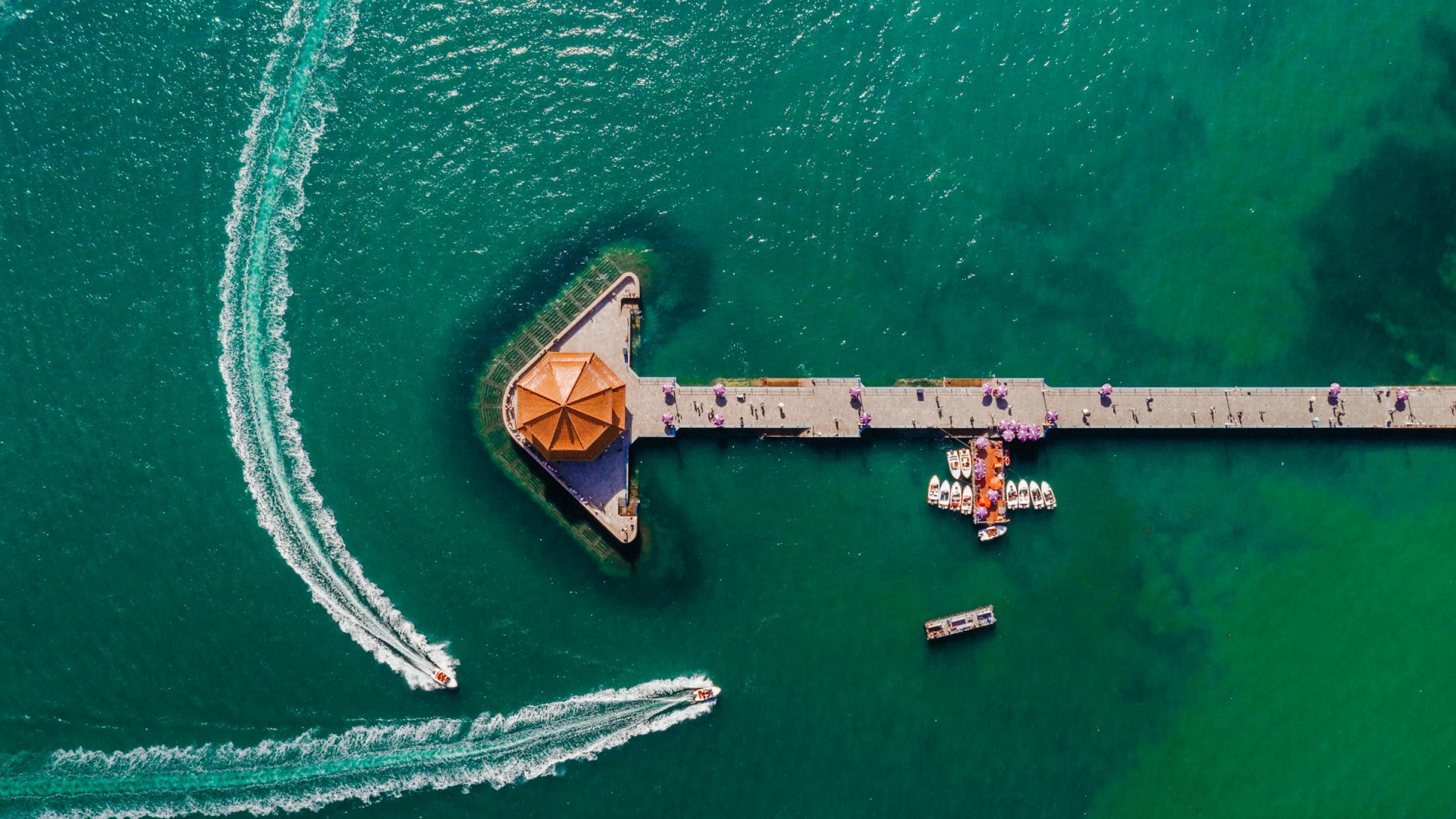  Photo Credit: Photo by R HAI on Unsplash