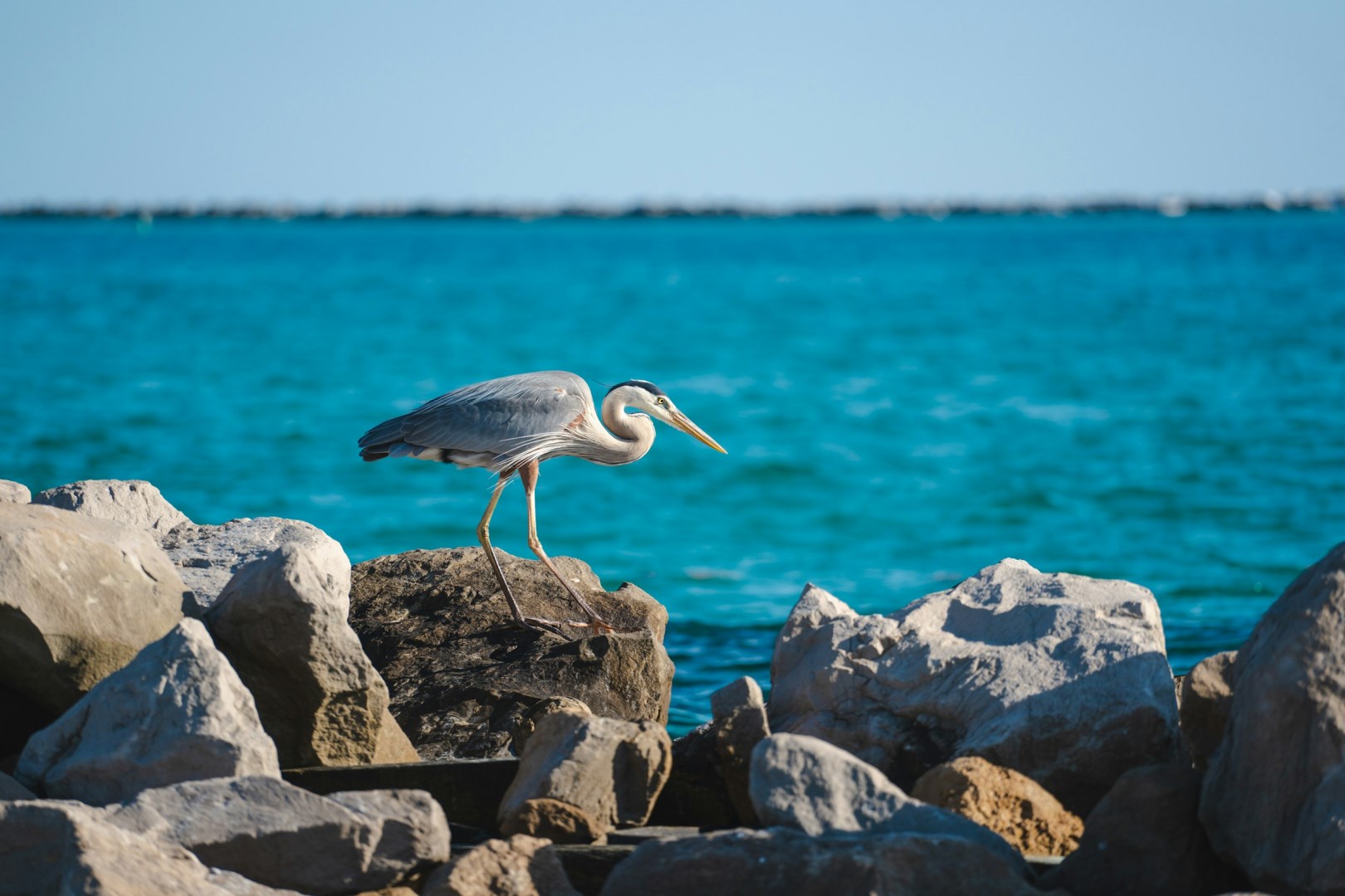 Norriego Point - Photo Credit: Photo by Jake Hill on Unsplash