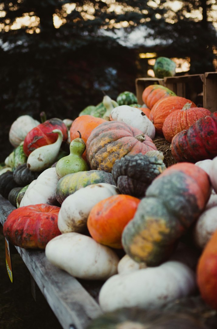  Photo Credit: Photo by Riley Crawford on Unsplash