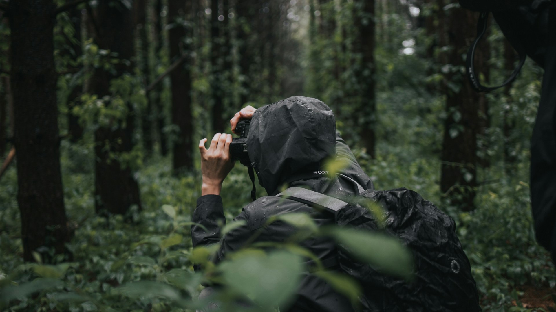 Al Sabo Nature Preserve - Photo Credit: Photo by Frankie Mish on Unsplash