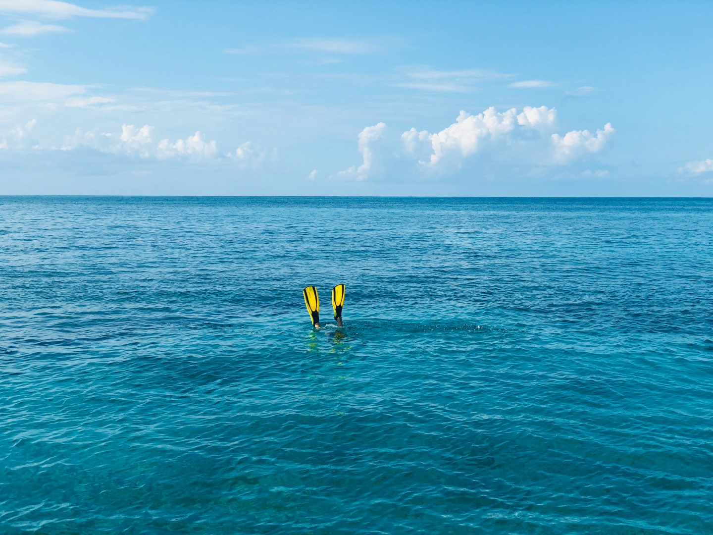 Bakers Bay Marina, Great Guana Cay - Photo Credit: Photo by Stella Ribeiro on Unsplash