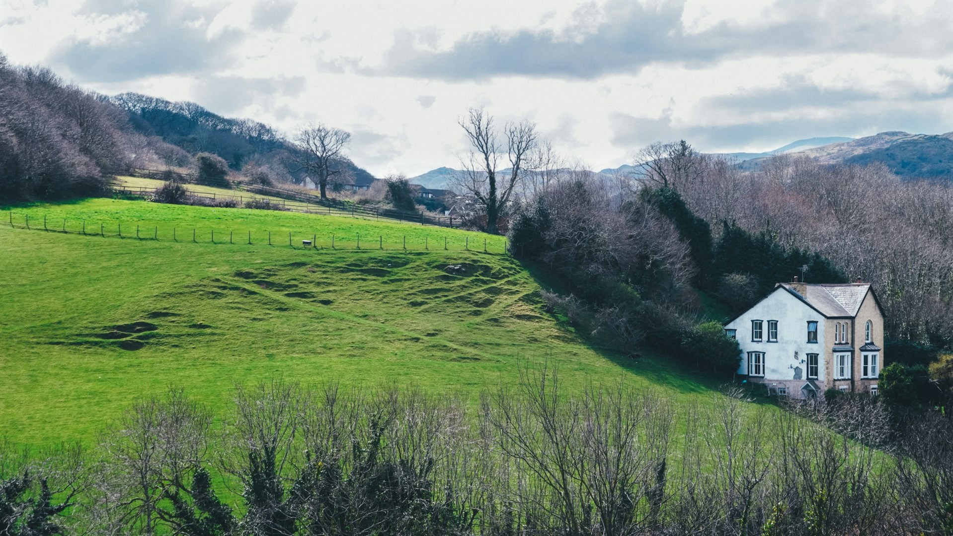  Photo Credit: Photo by Jiamin Huang on Unsplash