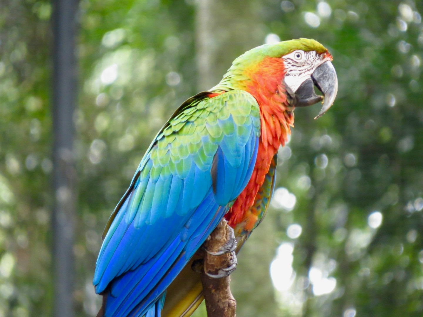  Photo Credit: Photo by Jaime Dantas on Unsplash