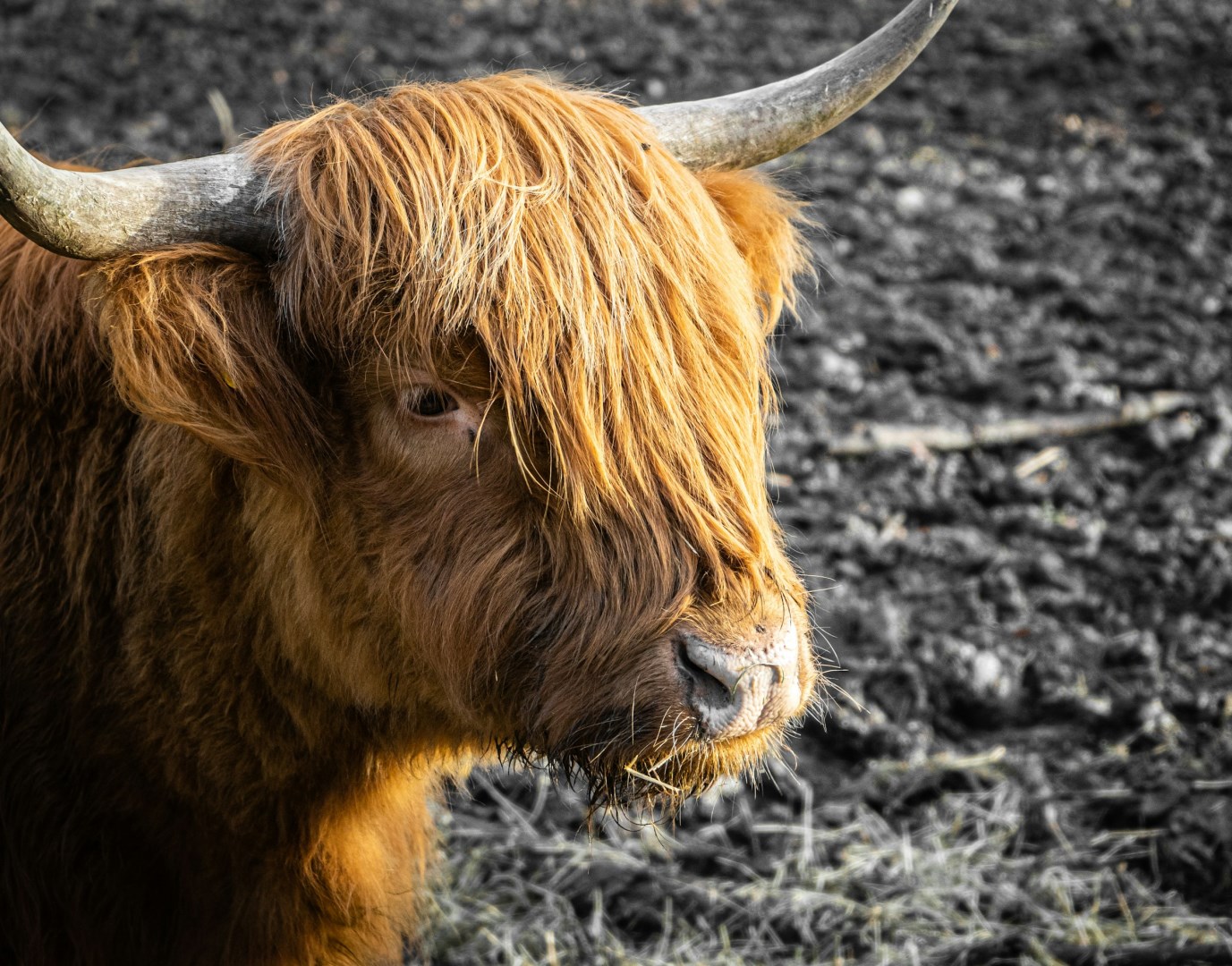  Photo Credit: Photo by Julian Steenbergen on Unsplash