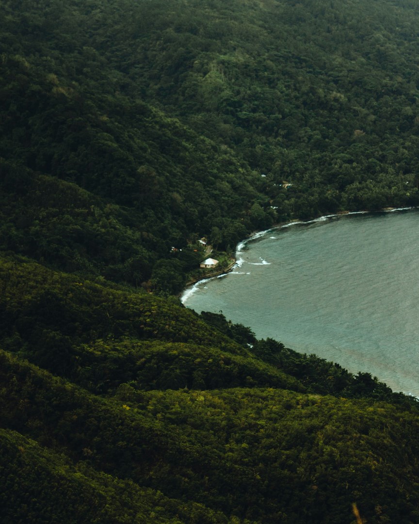 Ambon