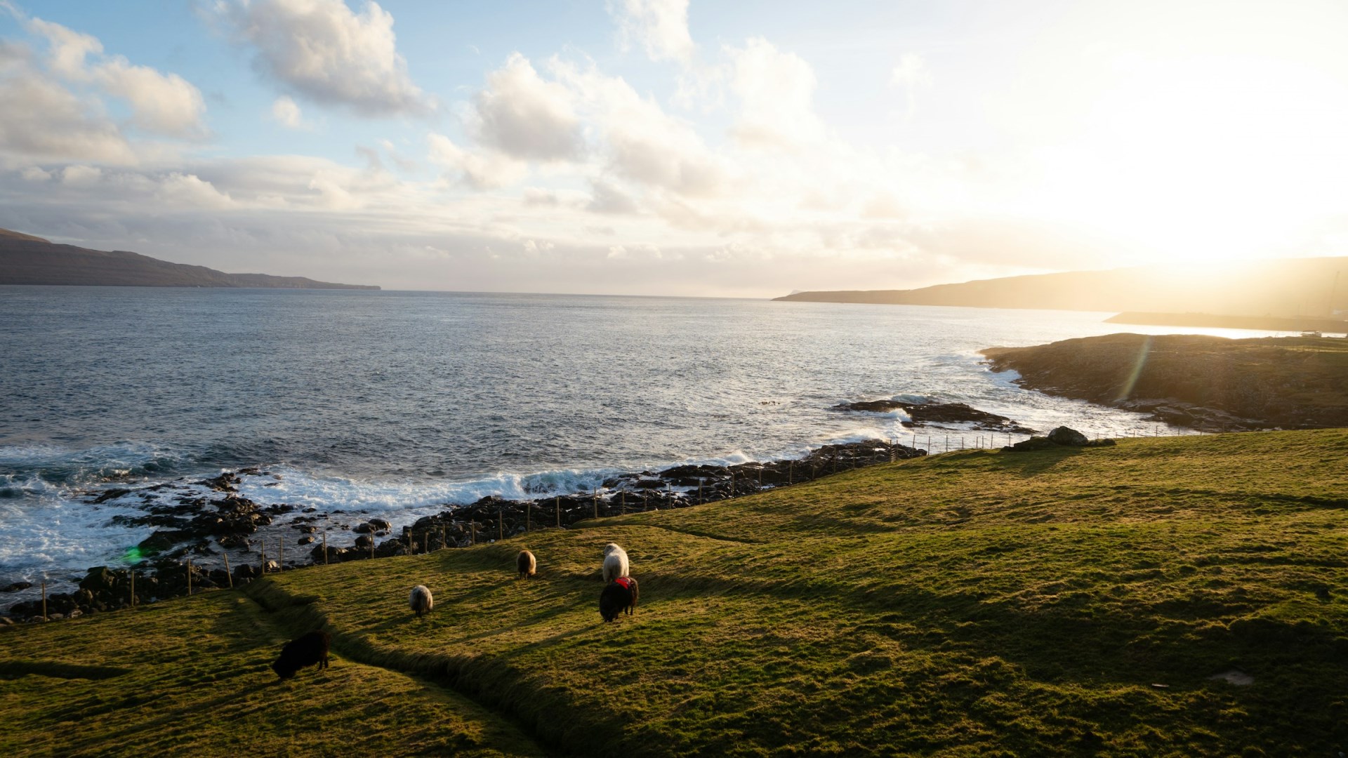  Photo Credit: Photo by Alex Ghiurau on Unsplash