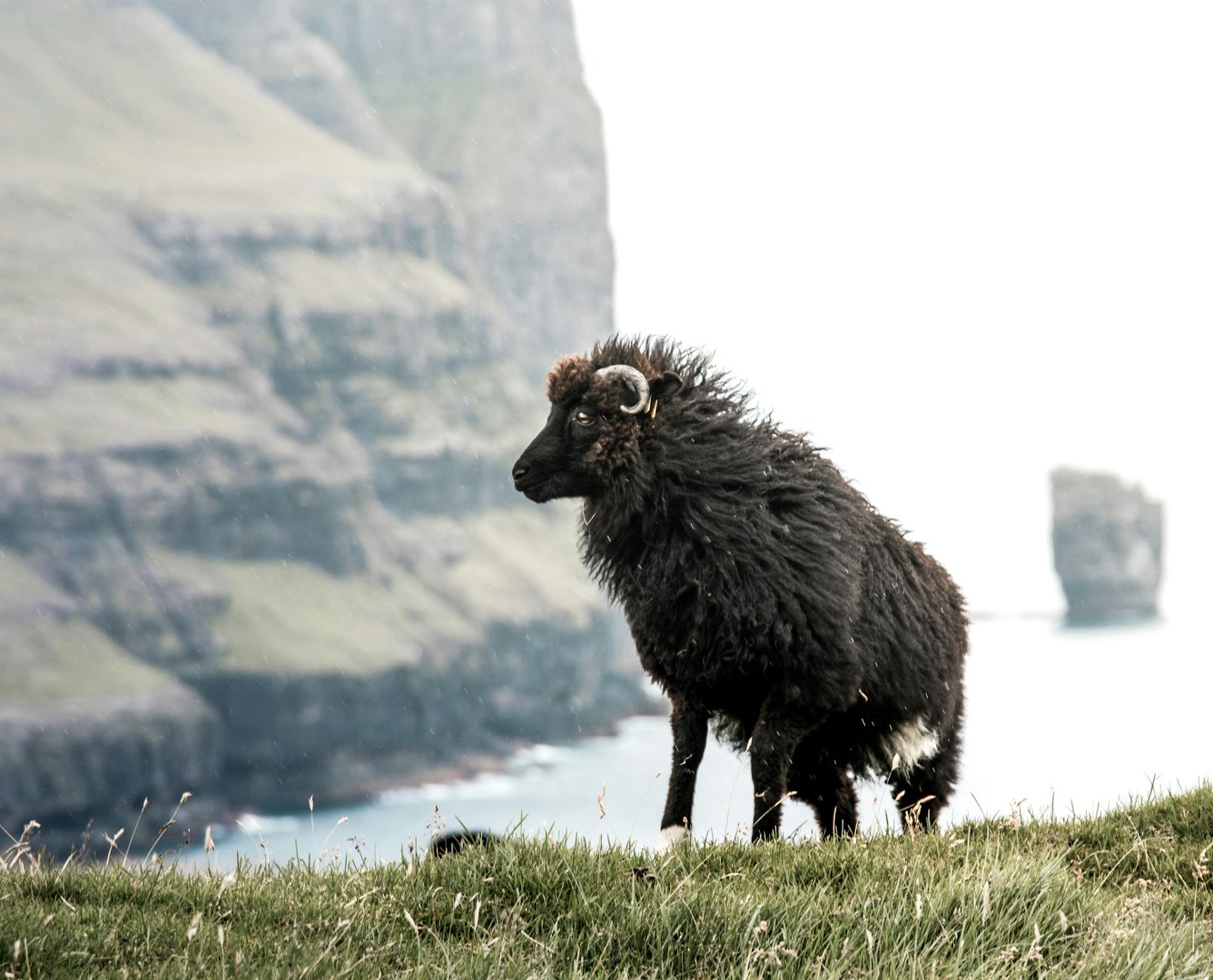  Photo Credit: Photo by Lachlan Gowen on Unsplash