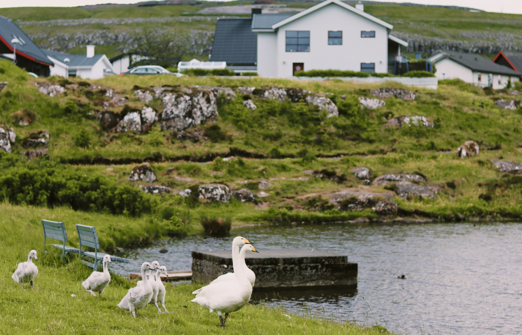  Photo Credit: Photo by Vár Fróðadóttir Lamhauge on Unsplash