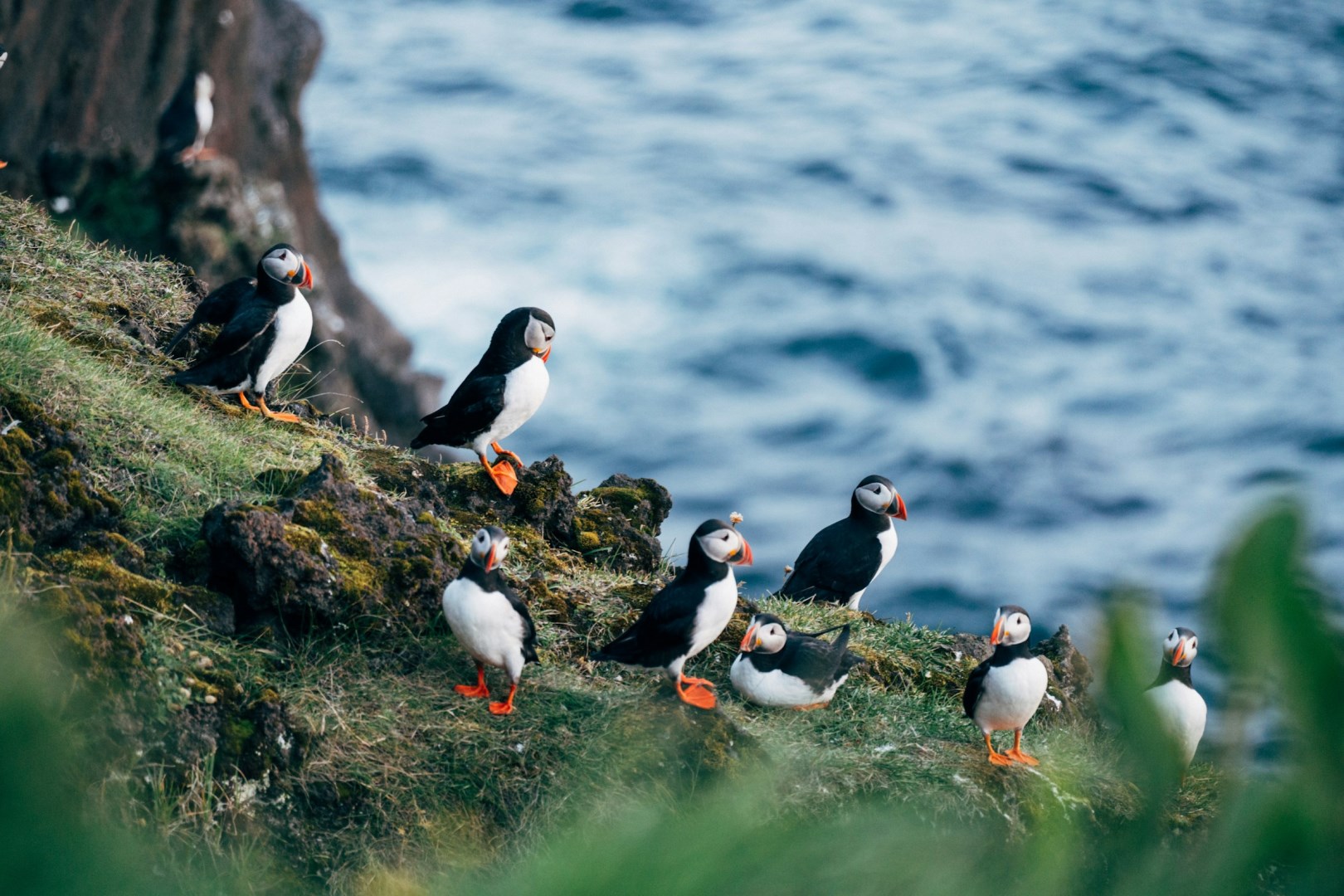  Photo Credit: Photo by Yihang Li on Unsplash