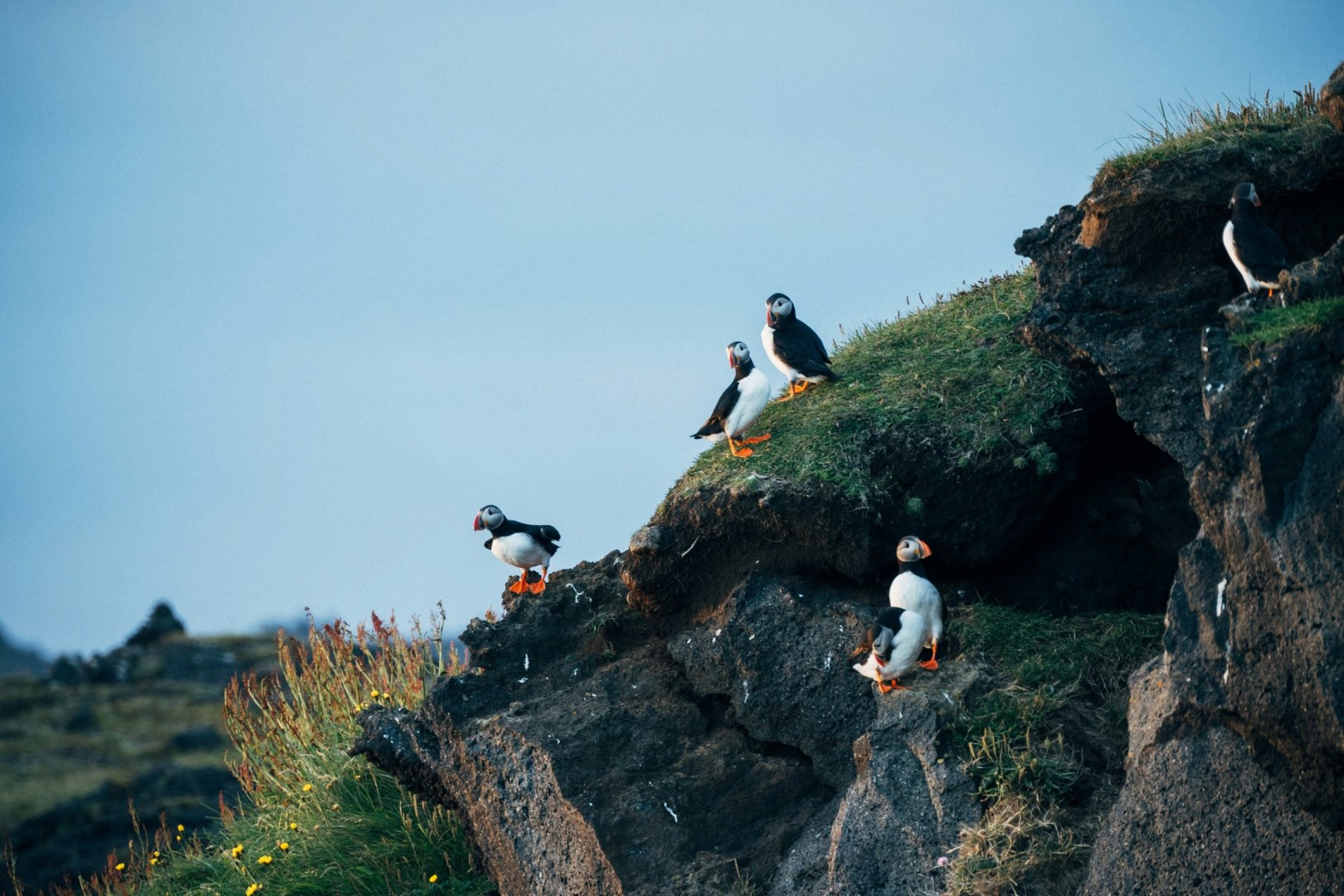  Photo Credit: Photo by Yihang Li on Unsplash